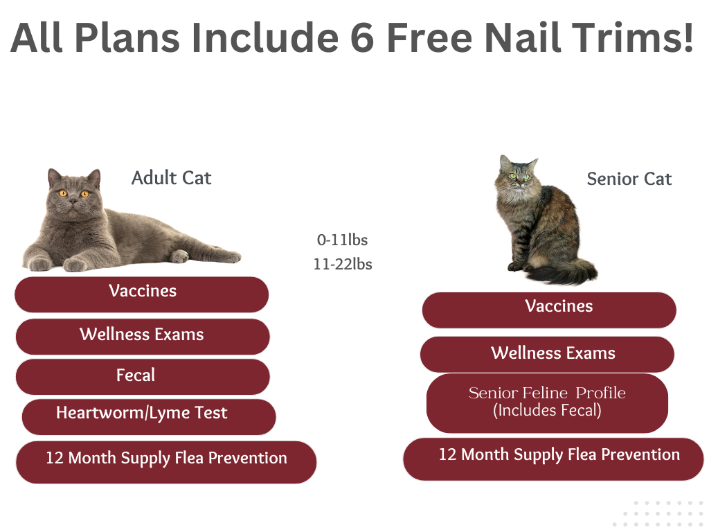 advanced-pet-care-clinic