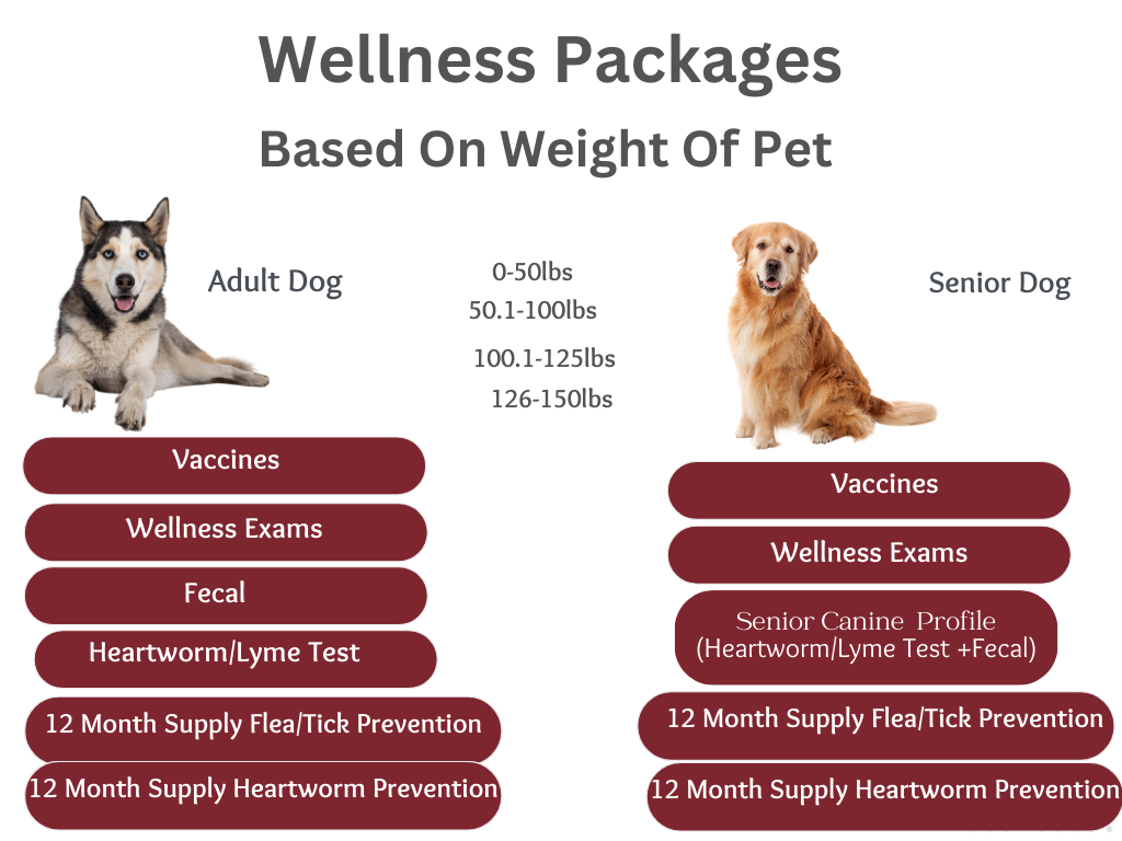 Advanced Pet Care Clinic Advanced Pet Care Clinic